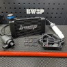 Water cooling kit for Honda Ruckus complete with radiator  - pictures 5 - rights to use Tunescoot