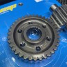 Secondary gears 17/36T Gy6-150 Ruckus 157qmb bwsp  - pictures 3 - rights to use Tunescoot