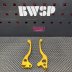 Billet brake levers for Dio50  - pictures 4 - rights to use Tunescoot