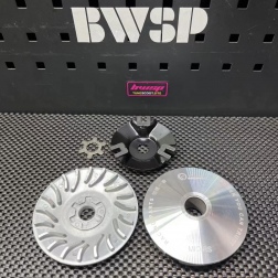 Variator set for Jog90 3WF and Bws100 4VP engines - pictures 2 - rights to use Tunescoot