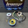 Dio50 rotor ignition kit Bwsp neon rainbow color  - pictures 2 - rights to use Tunescoot