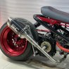 Ruckus SC exhaust pipe  - pictures 2 - rights to use Tunescoot