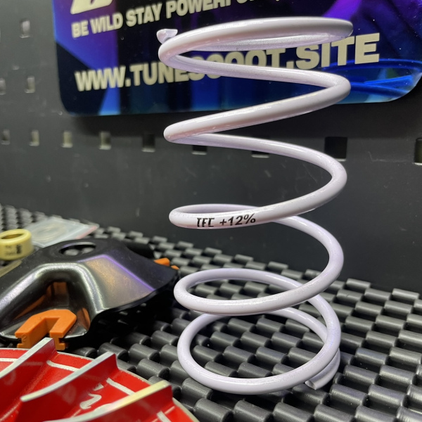 Variator kit for Nmax155 Tfc  - pictures 6 - rights to use Tunescoot