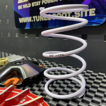 Variator kit for Nmax155 Tfc  - pictures 6 - rights to use Tunescoot