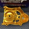 Cvt variator lid Dio50 Jiso rrgs cover  - pictures 6 - rights to use Tunescoot