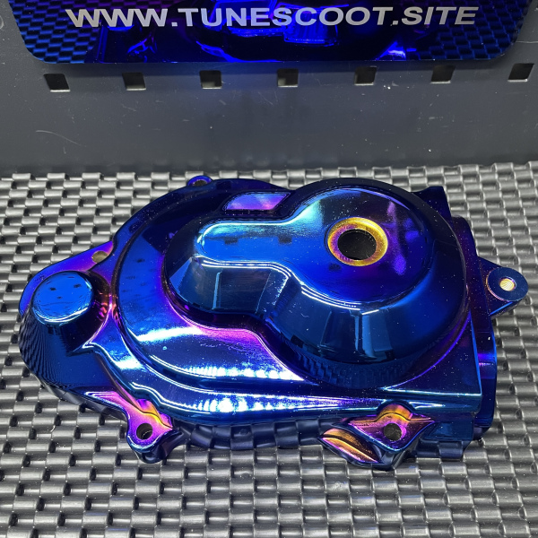 Dio50 rainbow CVT variator lid  - pictures 2 - rights to use Tunescoot