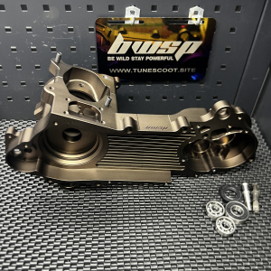 Dio50 180cc billet crankcase updated version Badas  - 66