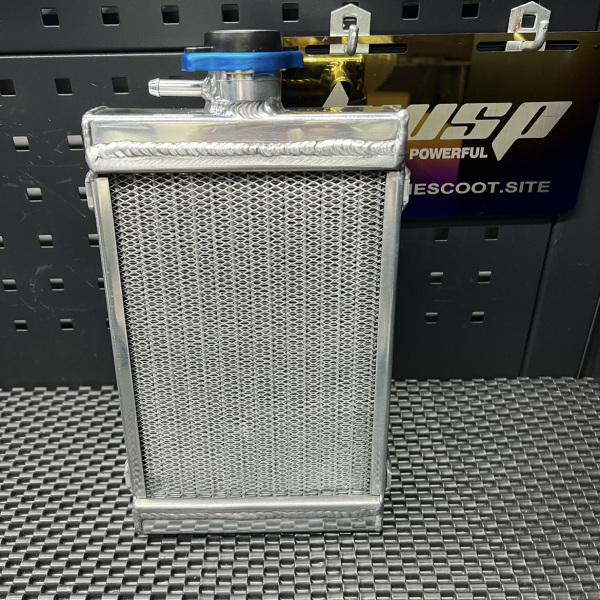 Radiator for Dio50 Elite S Zx50 Dd50  - 1