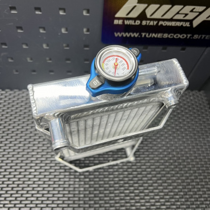 Radiator for Dio50 Elite S Zx50 Dd50 - 6 Radiator for Dio50 Elite S Zx50 Dd50 - 6