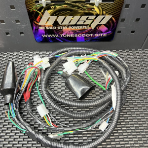 Dio50 Af18 full harness set - 1