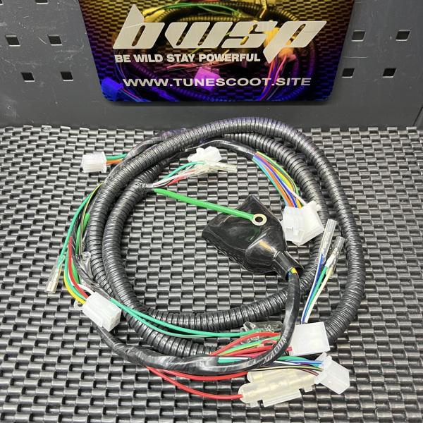 Dio50 Af18 full harness set  - 3