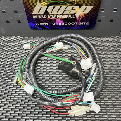 Dio50 Af18 full harness set  - 3