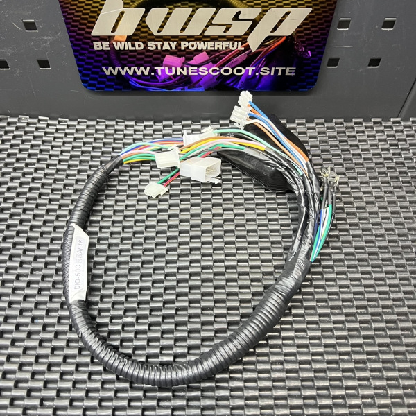 Dio50 Af18 full harness set  - 4