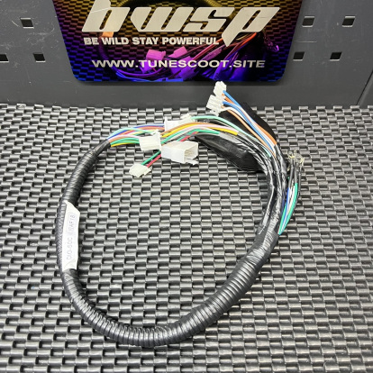 Dio50 Af18 full harness set  - 4