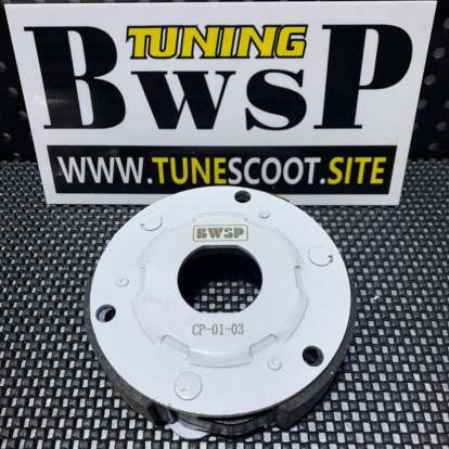 Clutch pads for BWS125 5ML engine BWSP  - pictures 1 - rights to use Tunescoot