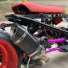 Ruckus 185cc with Gy6 water cooling engine  - pictures 3 - rights to use Tunescoot