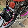 Ruckus 185cc with Gy6 water cooling engine  - pictures 11 - rights to use Tunescoot