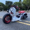 Ruckus 180cc with Gy6 water cooling engine  - pictures 1 - rights to use Tunescoot