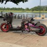 Ruckus 250cc with Yamaha Cygnus water cooling engine  - pictures 1 - rights to use Tunescoot