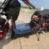 Ruckus 250cc with Yamaha Cygnus water cooling engine  - pictures 5 - rights to use Tunescoot