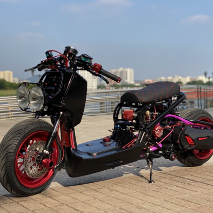 Ruckus 250cc with Yamaha Cygnus water cooling engine  - pictures 4 - rights to use Tunescoot