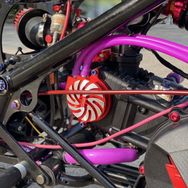 Ruckus 250cc with Yamaha Cygnus water cooling engine  - pictures 13 - rights to use Tunescoot