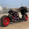 Ruckus 250cc with Yamaha Cygnus water cooling engine  - pictures 10 - rights to use Tunescoot