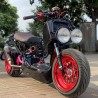 Ruckus 250cc with Yamaha Cygnus water cooling engine  - pictures 6 - rights to use Tunescoot