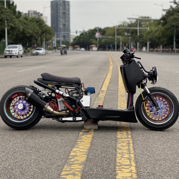 Ruckus 310cc  - pictures 6 - rights to use Tunescoot