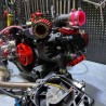 Engine kit 250cc for Ruckus with Yamaha 5ML engine and frame  - pictures 4 - rights to use Tunescoot