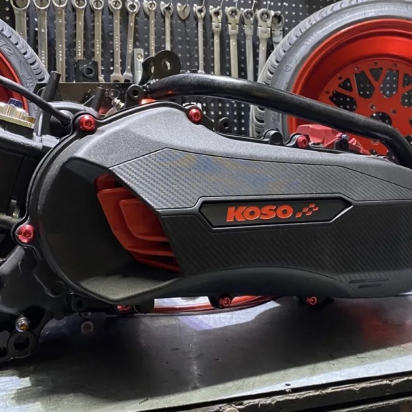 Engine kit 250cc for Ruckus with Yamaha 5ML engine and frame  - pictures 10 - rights to use Tunescoot