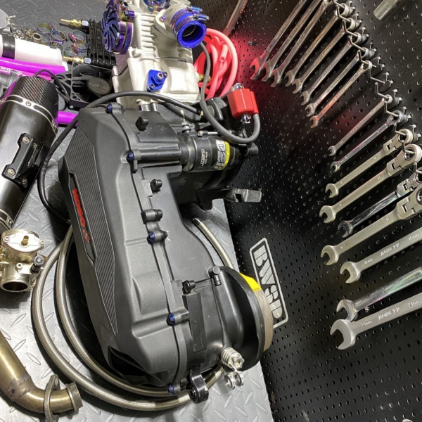 Engine 5ML 310cc for RUCKUS - pictures 5 - rights to use Tunescoot