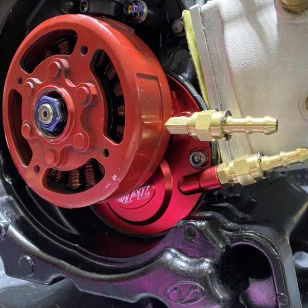 Engine 5ML 310cc for RUCKUS - pictures 20 - rights to use Tunescoot