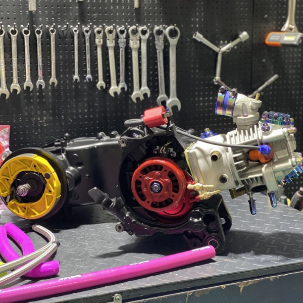 Engine 5ML 310cc for RUCKUS - pictures 10 - rights to use Tunescoot