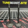 Valves set EX25/IN28.5 Address V125 brand Taida  - pictures 3 - rights to use Tunescoot