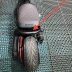 RUCKUS rear frame splitter  - pictures 6 - rights to use Tunescoot