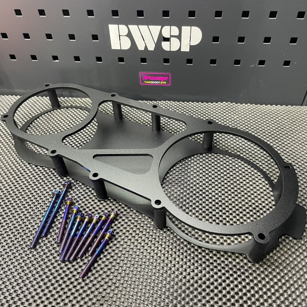 CVT cover RUCKUS GY6-150 anklebiter  - pictures 2 - rights to use Tunescoot