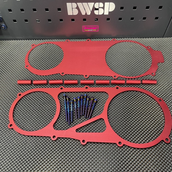 CVT cover RUCKUS GY6-150 anklebiter  - pictures 9 - rights to use Tunescoot