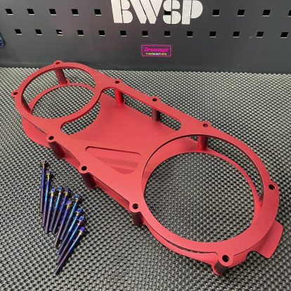 CVT cover RUCKUS GY6-150 anklebiter  - pictures 7 - rights to use Tunescoot