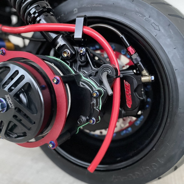 Ruckus 195cc "CANDY" version EFI four valves water cooling  - pictures 17 - rights to use Tunescoot