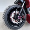 Ruckus 195cc "CANDY" version EFI four valves water cooling  - pictures 20 - rights to use Tunescoot