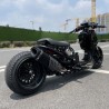 RUCKUS 310cc "JAGUAR"  - pictures 5 - rights to use Tunescoot