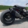 RUCKUS 310cc "JAGUAR"  - pictures 6 - rights to use Tunescoot