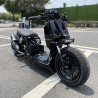 RUCKUS 310cc "JAGUAR"  - pictures 8 - rights to use Tunescoot