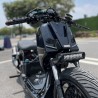 RUCKUS 310cc "JAGUAR"  - pictures 9 - rights to use Tunescoot