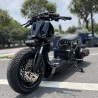 RUCKUS 310cc "JAGUAR"  - pictures 14 - rights to use Tunescoot