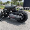 RUCKUS 310cc "JAGUAR"  - pictures 3 - rights to use Tunescoot