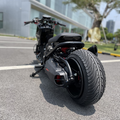 RUCKUS 310cc "JAGUAR"  - pictures 20 - rights to use Tunescoot