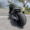 RUCKUS 310cc "JAGUAR"  - pictures 20 - rights to use Tunescoot